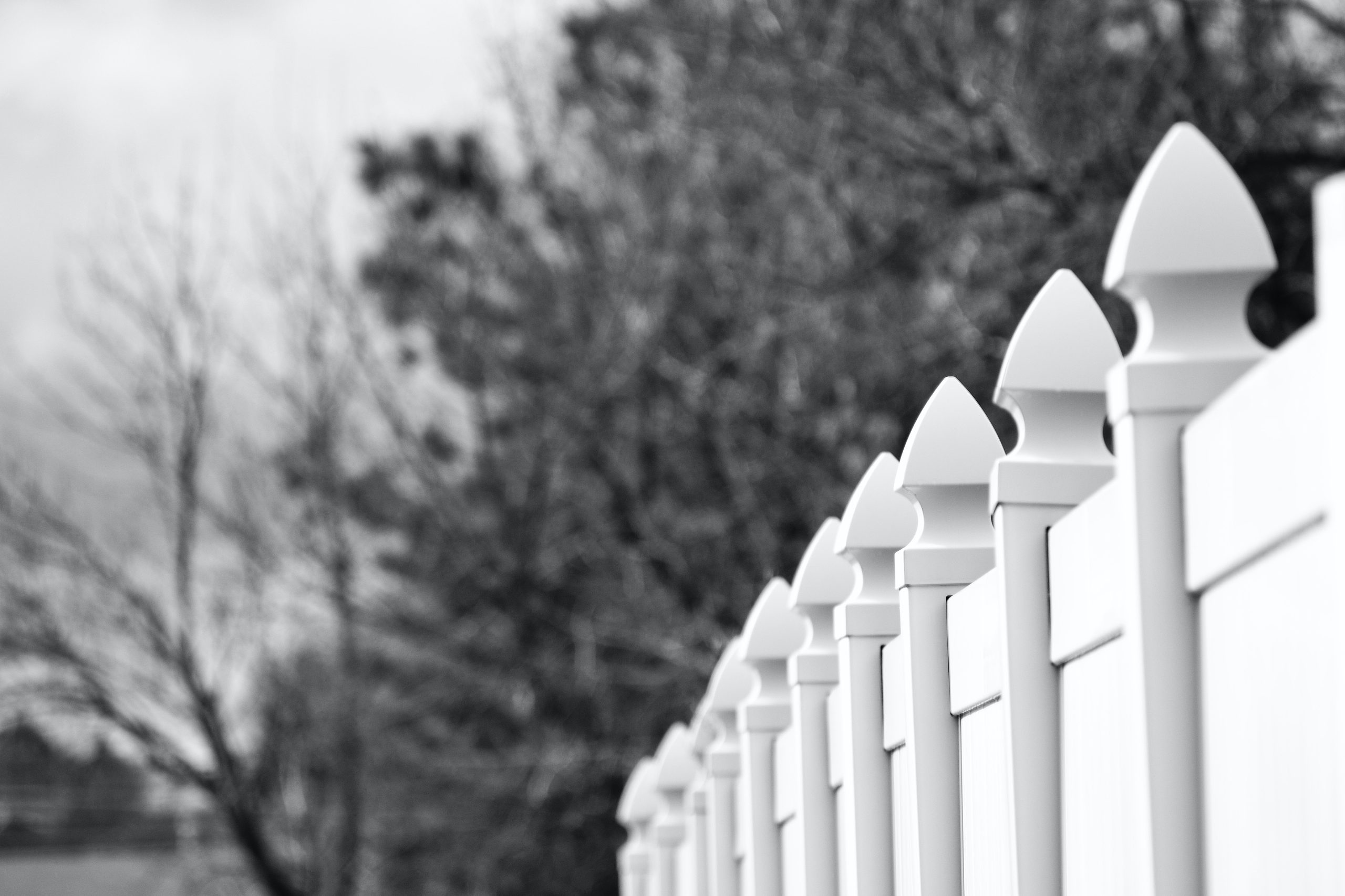 White vinyl Fence