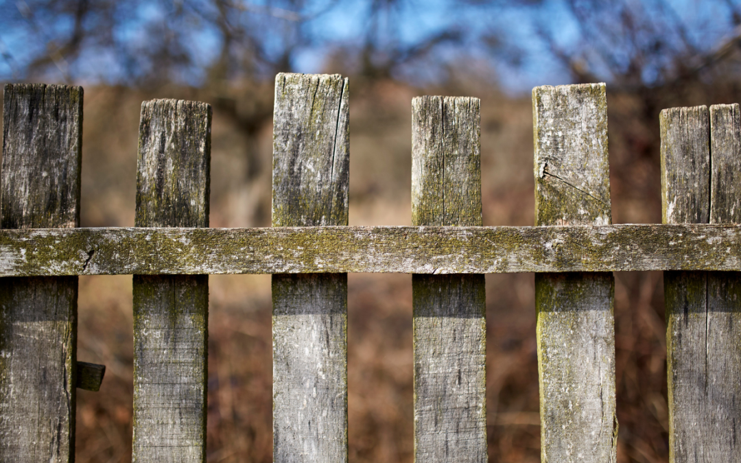 Settling the Debate: Fence Repair vs Replacement