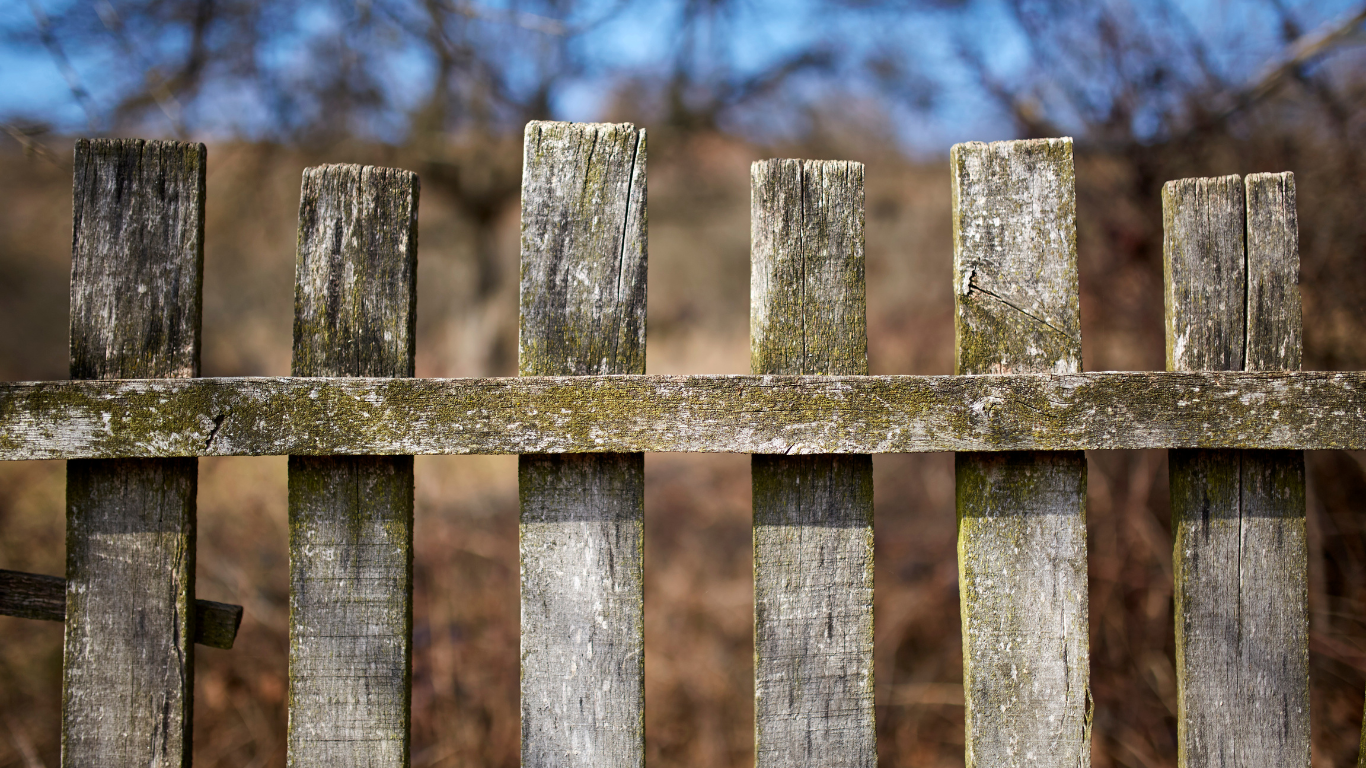 fence repair vs replacement